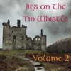 Jigs on the Tin Whistle: Volume 2, 2016