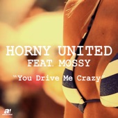 You Drive Me Crazy (Zito Presents Horny United) [feat. Mossy] [Remixes] artwork