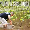 Plant a Seed Today - Single album lyrics, reviews, download