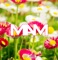 Acid Bright - Mam lyrics