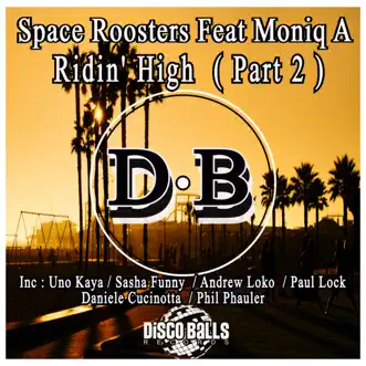 Ridin' High (Andrew Loko Remix) [feat. Moniq A] by Space Roosters song reviws