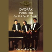 Piano Trio No. 4 in E Minor "Dumky", Op. 90: V. Allegro artwork