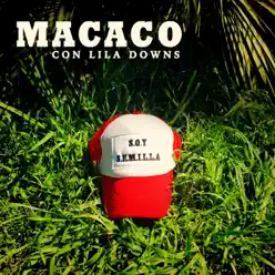 Semillas (with Lila Downs) - Single - Macaco