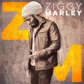 Ziggy Marley artwork