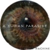 A Human Parasite, 2015