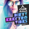 Dirty Electro Vibes, Vol. 14