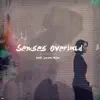 Senses Overload (feat. Laura Hahn) - Single album lyrics, reviews, download