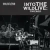 Stream & download Into the Wild Live: Chicago - EP