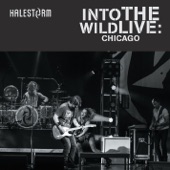 Into the Wild Live: Chicago - EP artwork