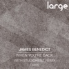 James Benedict - When You're Back