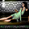 Best Sound of Chill & Lounge 2016 (33 Chillout Downbeat Songs with Ibiza Mallorca Feeling) - Various Artists