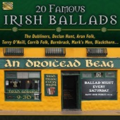 Sing Irishmen, Sing artwork