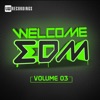 Welcome EDM, Vol. 3