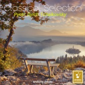 Tchaikovsky: The Seasons