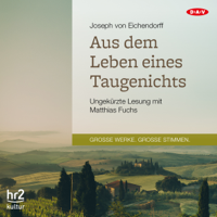 Joseph von Eichendorff - Aus dem Leben eines Taugenichts artwork