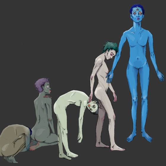 Cover artwork for Organization & Classification