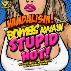 Stupid Hot (Remixes) - Single by Vandalism & Bombs Away album reviews, ratings, credits