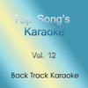 Top Song's Karaoke, Vol. 12 - EP - Back Track Karaoke