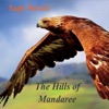 Eagle McCall - Louie the Louse