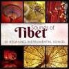 Nature Sounds Radio - Meditation: Calm