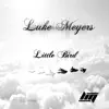 Stream & download Little Bird - Single