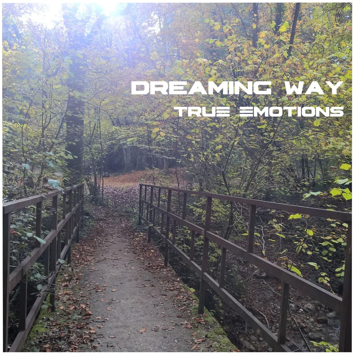 Dream way отзывы. Dreaming way feat. Angel Falls. True emotions. Last Silence Dream. In a last way металл песня.