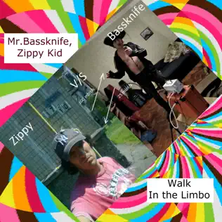 descargar álbum Mr Bassknife & Zippy Kid - Walk In The Limbo