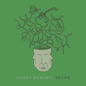 Seeds by Moses Sumney