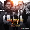 Andando Voy - Single