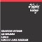Les couleurs (Jamie Anderson Mix) - Sebastian Davidson & Licious K lyrics