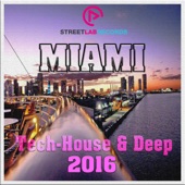 Miami Tech-House & Deep 2016 artwork