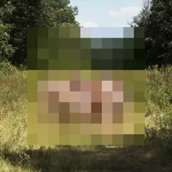 Goodness - The Hotelier
