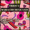 Tríos y Mariachis Mexicanos, Vol. 2