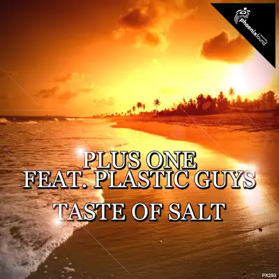 Taste of Salt (feat. Plastic Guys) - Single - Plus One