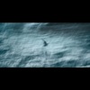 Blue Heron - Single