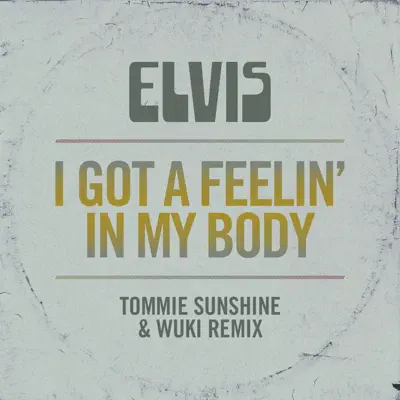 I Got a Feelin' In My Body (Tommie Sunshine & Wuki Remix) - Single - Elvis Presley