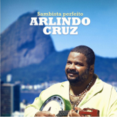 Sambista Perfeito - Arlindo Cruz