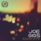 Rooftop City - Joe Gigs lyrics