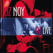 Oz Noy - Just Groove Me