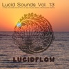 Lucid Sounds, Vol. 13 - A Fine and Deep Sonic Flow of Club House, Electro, Minimal and Techno, 2014
