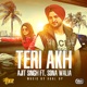 TERI AKH cover art