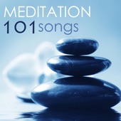 Meditation 101: Sleep Relaxing Songs for Spa Massage, Yoga, Therapy & Healing Music artwork