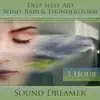 Wind, Rain & Thunderstorm (Deep Sleep Aid) [For Tinnitus, Insomnia, De-Stress, Massage, Meditation, Holistic Healing, Relaxation] [1 Hour] album lyrics, reviews, download