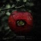 Number 23 - Assassins lyrics