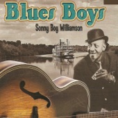 Blues Boys: Sonny Boy Williamson artwork