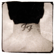 Learn to Fly - Foo Fighters