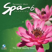 Spa Music ดนตรีบำบัด, Vol. 6 artwork