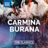 Stream & download Carmina Burana, III. Cour d'amours: Amor volat undique