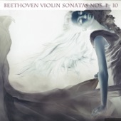 Violin Sonata No. 5 in F Major, Op. 24: IV. Rondo. Allegro ma non troppo artwork