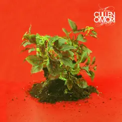 New Misery by Cullen Omori album reviews, ratings, credits